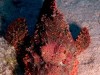 IMG_6597-1
