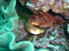 p1030377
