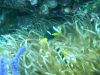 p1030388
