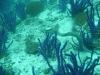 p1030402