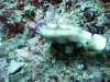 p1030420